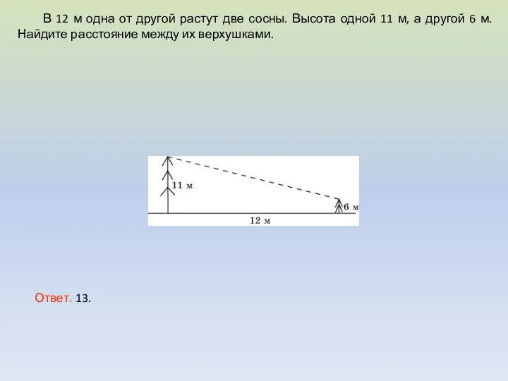 В 12 м одна от другой растут две сосны. Высота одной