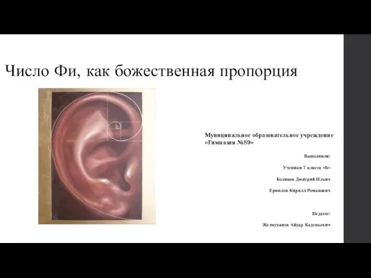 Число Фи, как божественная пропорция Выполнили: Ученики 7 класса «Б» Беликов