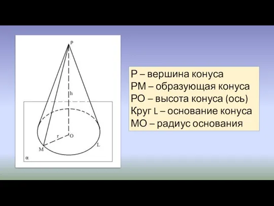 Р – вершина конуса РМ – образующая конуса РО – высота