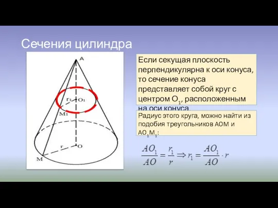 Сечения цилиндра Если секущая плоскость перпендикулярна к оси конуса, то сечение