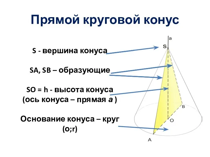 S - вершина конуса SA, SB – образующие SO = h