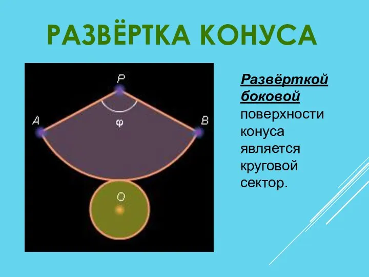 РАЗВЁРТКА КОНУСА Развёрткой боковой поверхности конуса является круговой сектор.