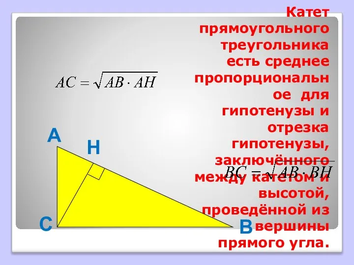 Катет прямоугольного треугольника есть среднее пропорциональное для гипотенузы и отрезка гипотенузы,