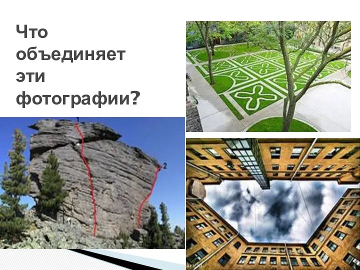 Что объединяет эти фотографии?