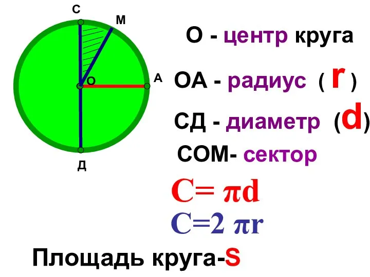 О А С Д О - центр круга ОА - радиус