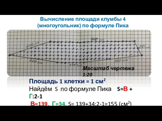 Масштаб чертежа 1:20 Площадь 1 клетки = 1 см2 Найдём S