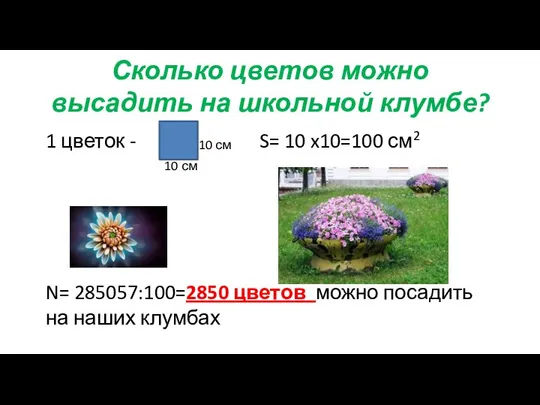 Сколько цветов можно высадить на школьной клумбе? 1 цветок - S=