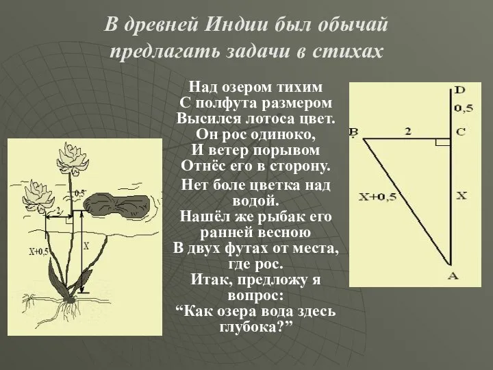 Над озером тихим С полфута размером Высился лотоса цвет. Он рос