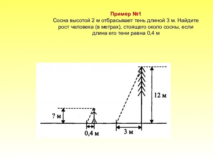 Пример №1 Сосна высотой 2 м отбрасывает тень длиной 3 м.