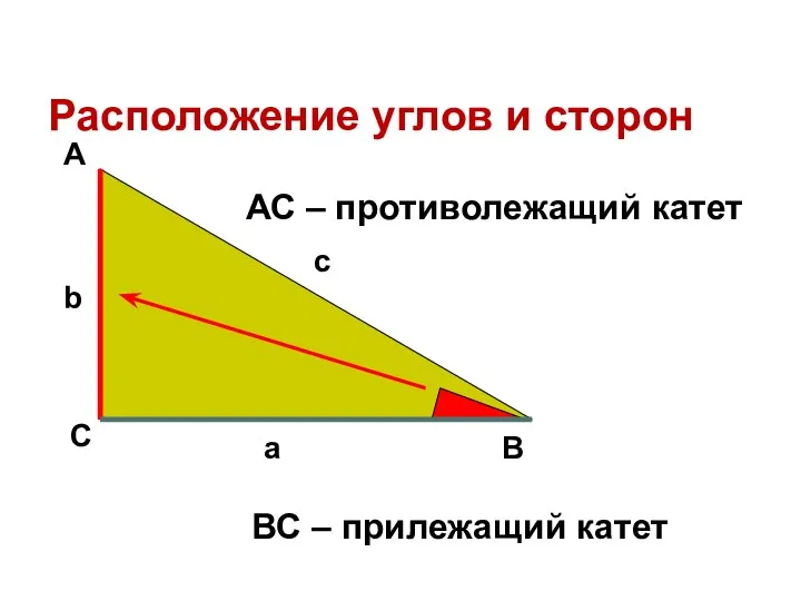 Расположение углов и сторон А С В b c a АС