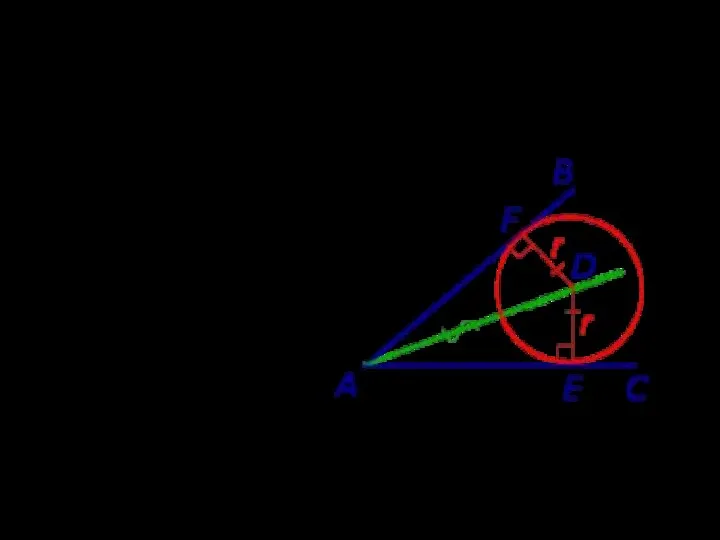 Окружность Отрезки, соединяющие точки касания с центром окружности, являются её радиусами и перпендикулярны к сторонам угла