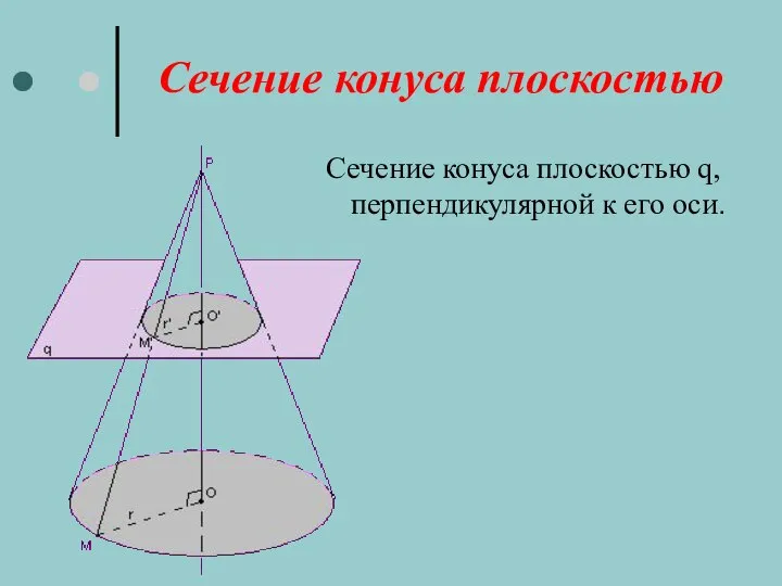 Сечение конуса плоскостью Сечение конуса плоскостью q, перпендикулярной к его оси.