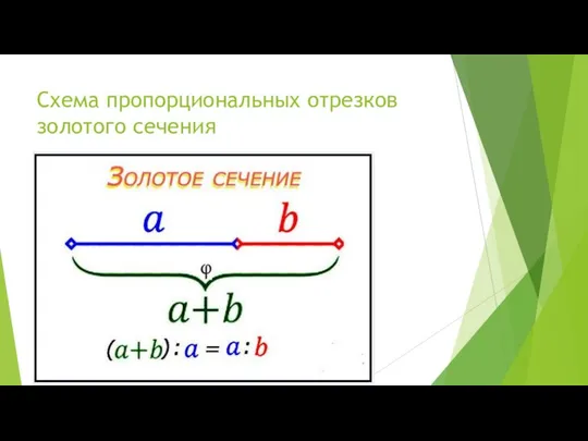 Схема пропорциональных отрезков золотого сечения