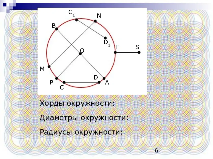 Хорды окружности: Диаметры окружности: Радиусы окружности: С1 N D1 M O