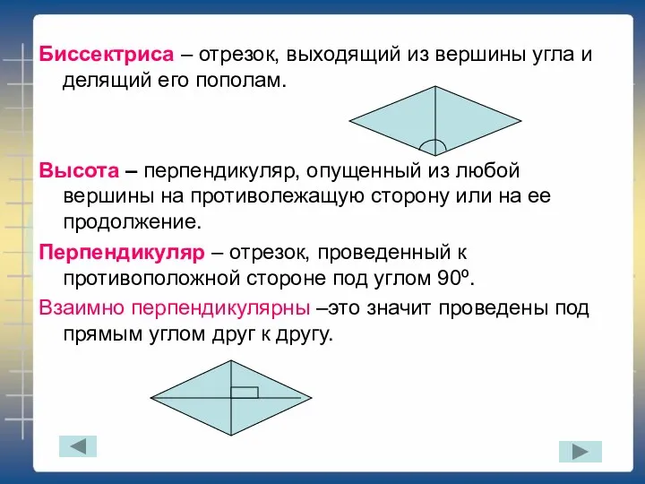 Биссектриса – отрезок, выходящий из вершины угла и делящий его пополам.