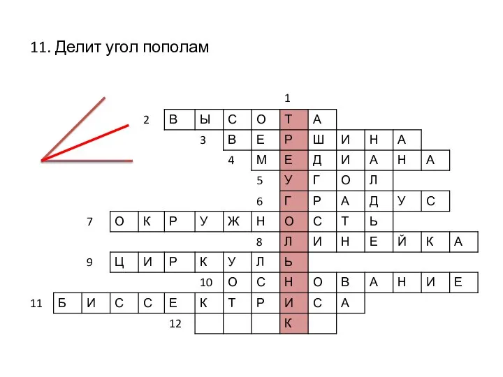 11. Делит угол пополам