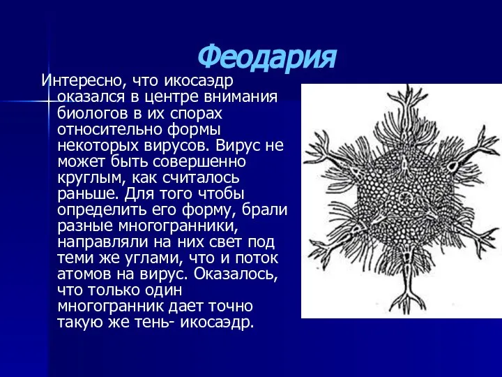 Феодария Интересно, что икосаэдр оказался в центре внимания биологов в их