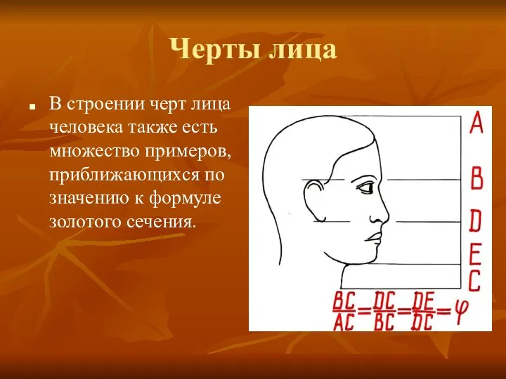 Черты лица В строении черт лица человека также есть множество примеров,