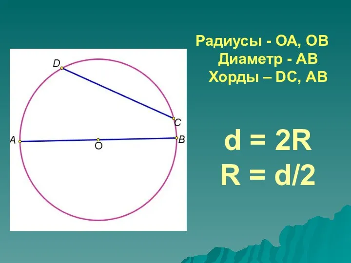 Радиусы - ОА, ОВ Диаметр - АВ Хорды – DС, АВ