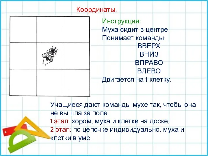 Координаты. Инструкция: Муха сидит в центре. Понимает команды: ВВЕРХ ВНИЗ ВПРАВО