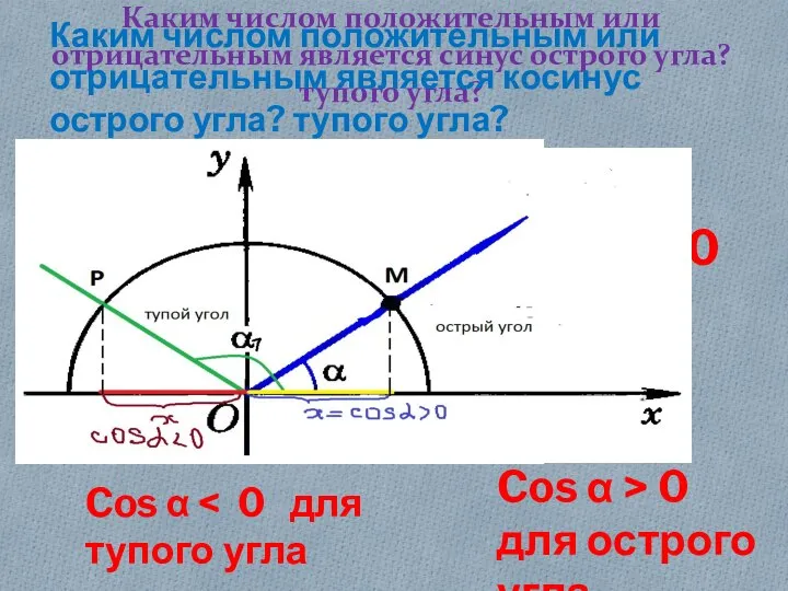 Каким числом положительным или отрицательным является синус острого угла? тупого угла?