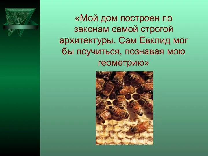 «Мой дом построен по законам самой строгой архитектуры. Сам Евклид мог бы поучиться, познавая мою геометрию»