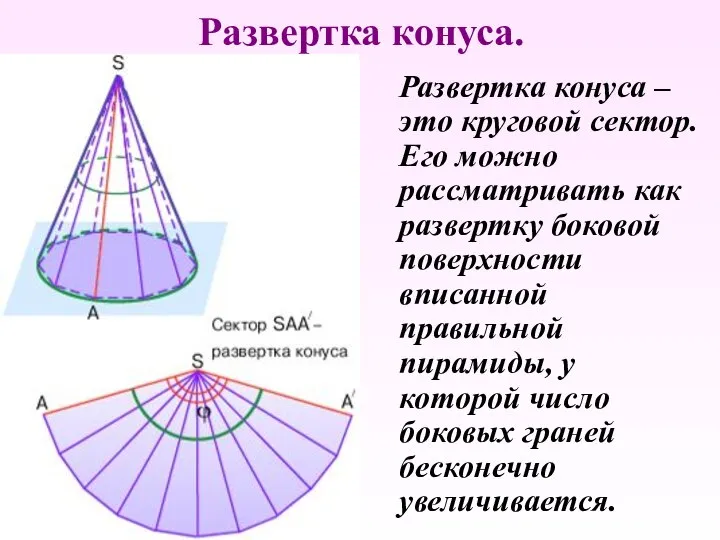 Развертка конуса. Развертка конуса – это круговой сектор. Его можно рассматривать