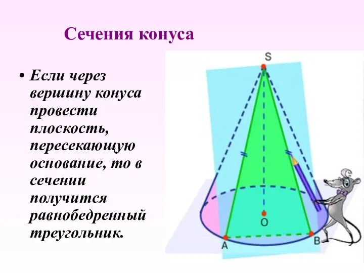 Сечения конуса Если через вершину конуса провести плоскость, пересекающую основание, то в сечении получится равнобедренный треугольник.