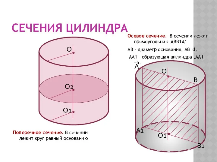 СЕЧЕНИЯ ЦИЛИНДРА Поперечное сечение. В сечении лежит круг равный основанию Осевое