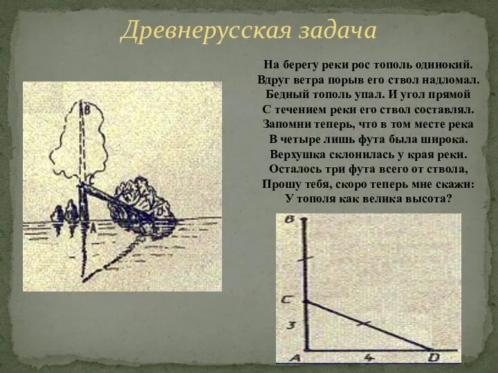 Древнерусская задача На берегу реки рос тополь одинокий. Вдруг ветра порыв