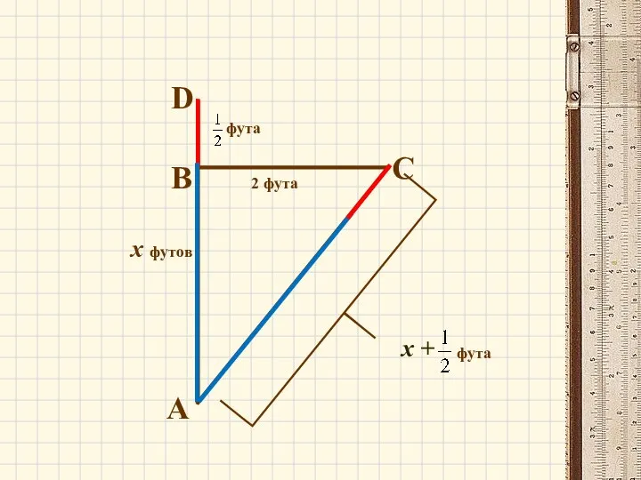 фута 2 фута х футов х + фута А В С D