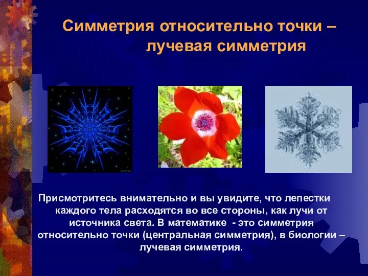 Симметрия относительно точки – лучевая симметрия Присмотритесь внимательно и вы увидите,