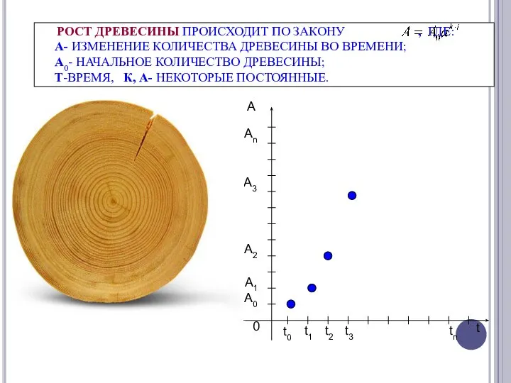 РОСТ ДРЕВЕСИНЫ ПРОИСХОДИТ ПО ЗАКОНУ , ГДЕ: A- ИЗМЕНЕНИЕ КОЛИЧЕСТВА ДРЕВЕСИНЫ