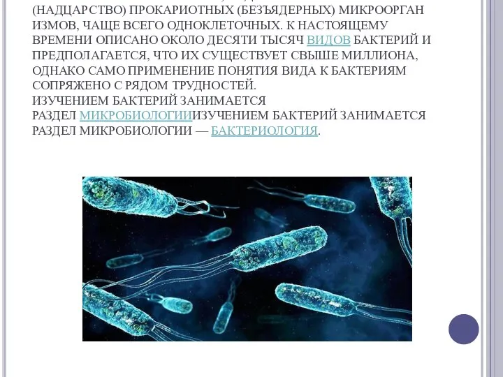 БАКТЕ́РИИ (ЭУБАКТЕРИИ (EUBACTERIA), ДР.-ГРЕЧ.), ДР.-ГРЕЧ. ΒΑΚΤΉΡΙΟΝ — ПАЛОЧКА) — ДОМЕН (НАДЦАРСТВО)),