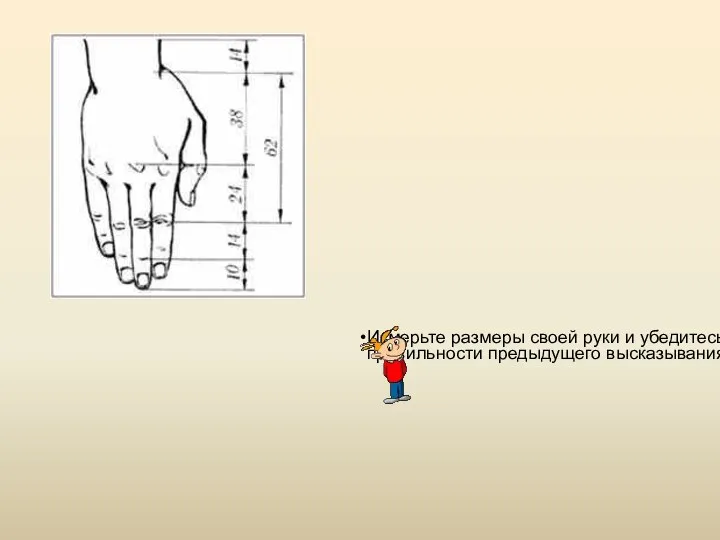 Измерьте размеры своей руки и убедитесь в правильности предыдущего высказывания