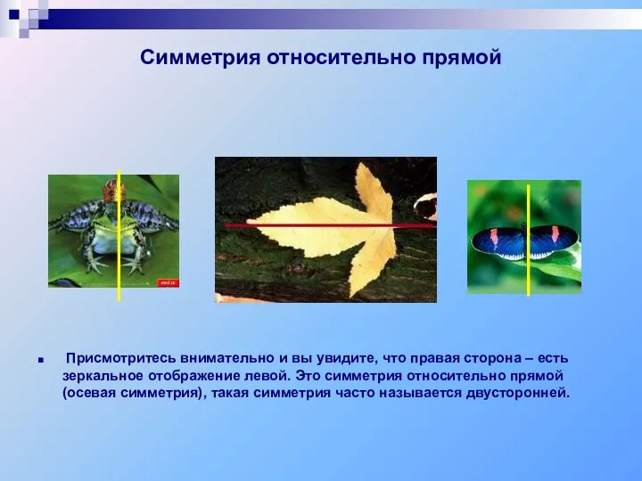 Симметрия относительно прямой Присмотритесь внимательно и вы увидите, что правая сторона