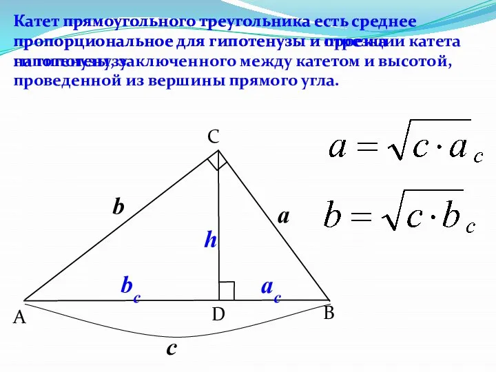 B C A D Катет прямоугольного треугольника есть среднее пропорциональное для