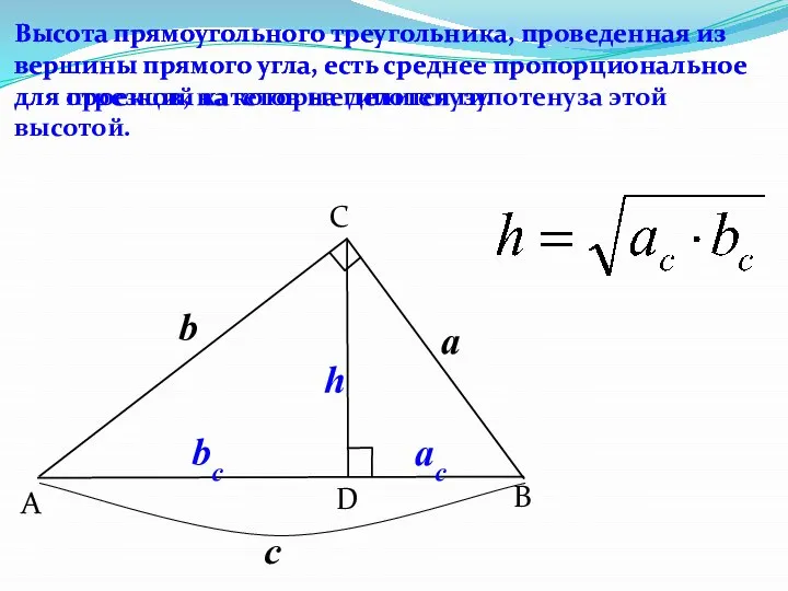B C A D Высота прямоугольного треугольника, проведенная из вершины прямого