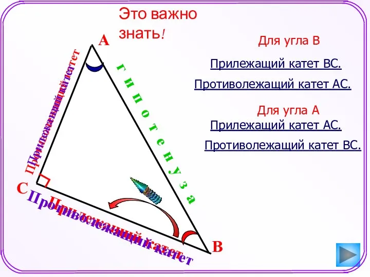 Прилежащий катет Противолежащий катет Это важно знать! А В г и