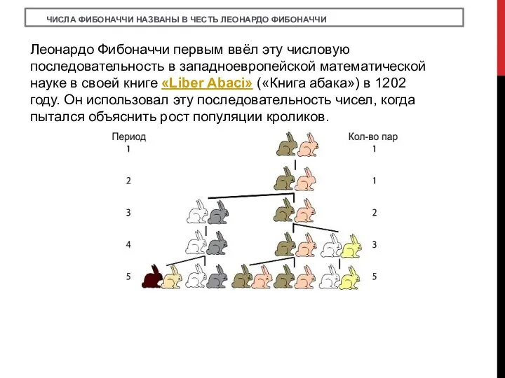 ЧИСЛА ФИБОНАЧЧИ НАЗВАНЫ В ЧЕСТЬ ЛЕОНАРДО ФИБОНАЧЧИ Леонардо Фибоначчи первым ввёл