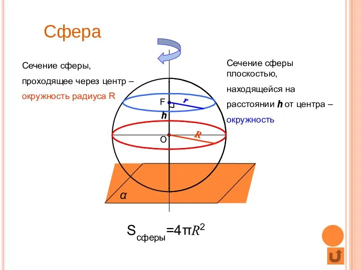 Сфера O Сечение сферы, проходящее через центр – окружность радиуса R