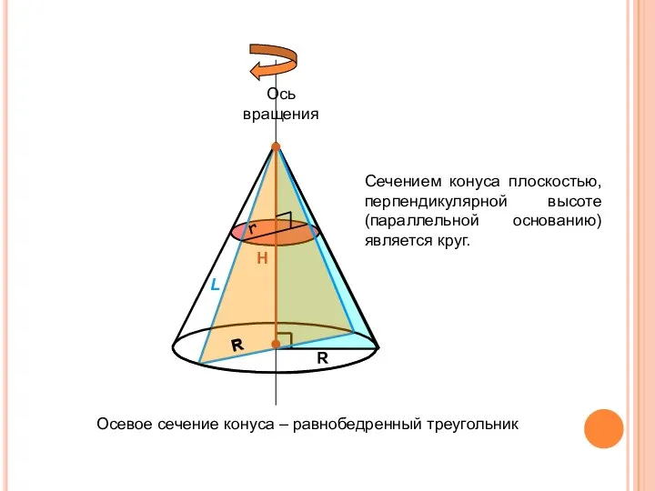 Конус H R L Осевое сечение конуса – равнобедренный треугольник r