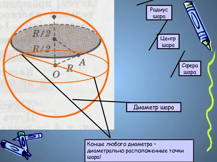 Центр шара Радиус шара Сфера шара Диаметр шара