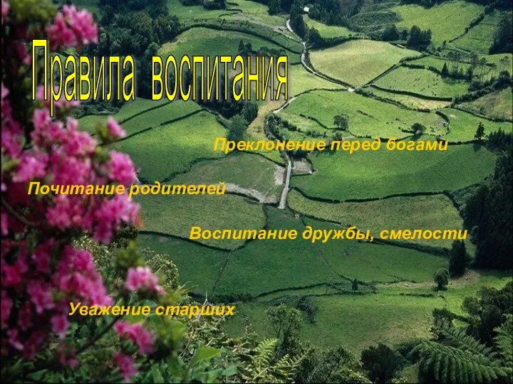 Правила воспитания Преклонение перед богами Почитание родителей Воспитание дружбы, смелости Уважение старших