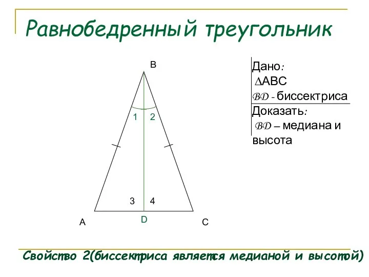 Равнобедренный треугольник Свойство 2(биссектриса является медианой и высотой) А В С