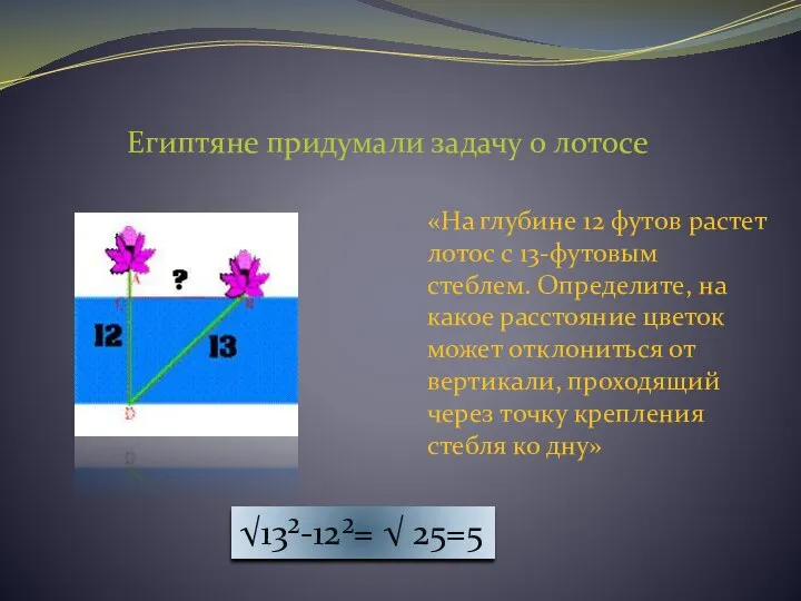 Египтяне придумали задачу о лотосе «На глубине 12 футов растет лотос