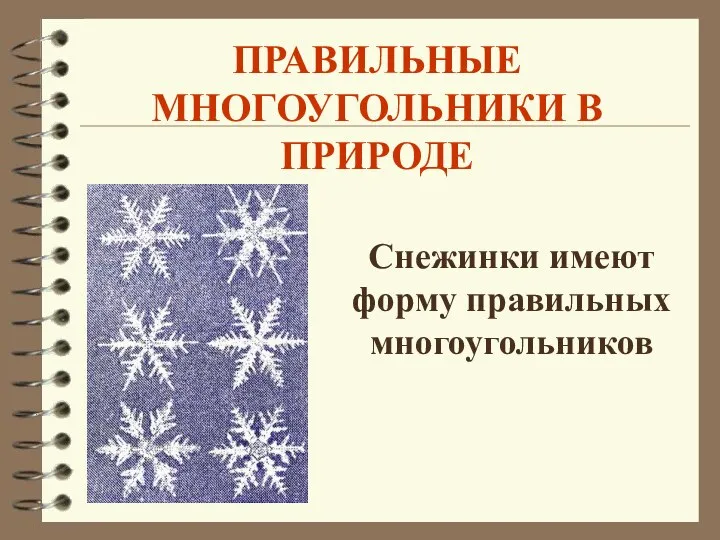 Снежинки имеют форму правильных многоугольников ПРАВИЛЬНЫЕ МНОГОУГОЛЬНИКИ В ПРИРОДЕ