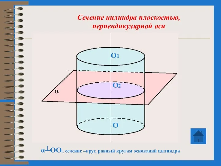 α┴OO1, сечение –круг, равный кругам оснований цилиндра Сечение цилиндра плоскостью, перпендикулярной оси O O1 O2 α