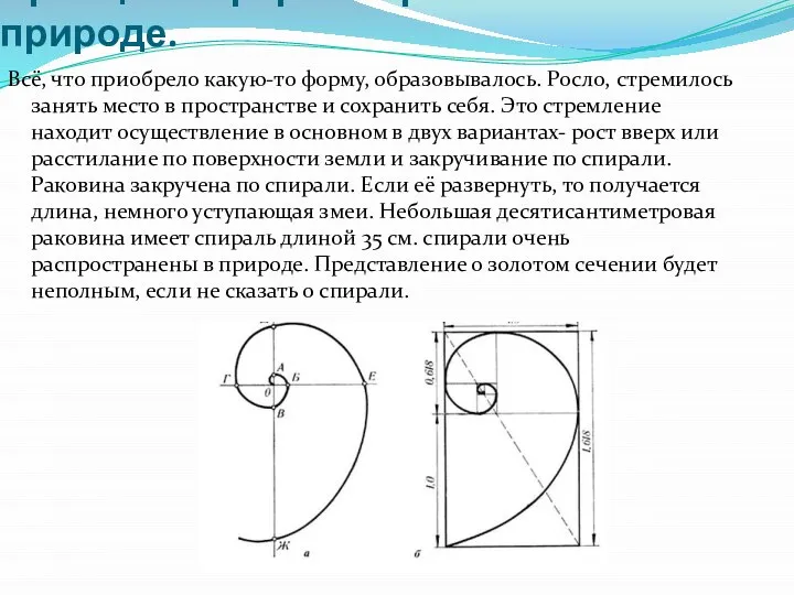 Принципы формообразования в природе. Всё, что приобрело какую-то форму, образовывалось. Росло,