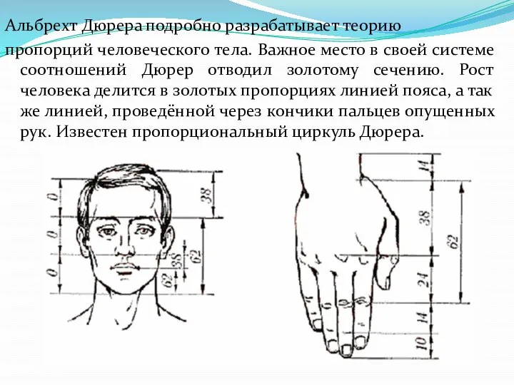 Альбрехт Дюрера подробно разрабатывает теорию пропорций человеческого тела. Важное место в